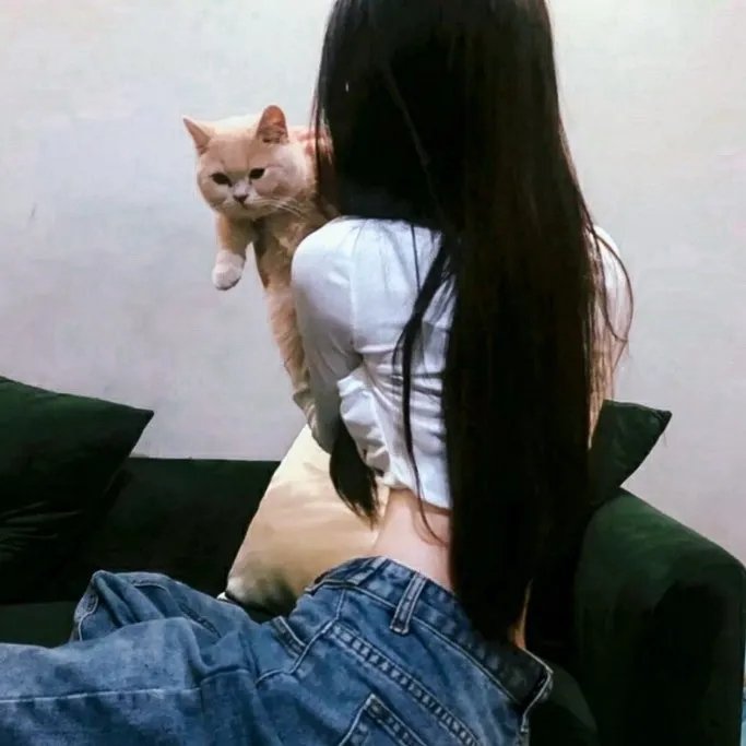 特工阿里：电影