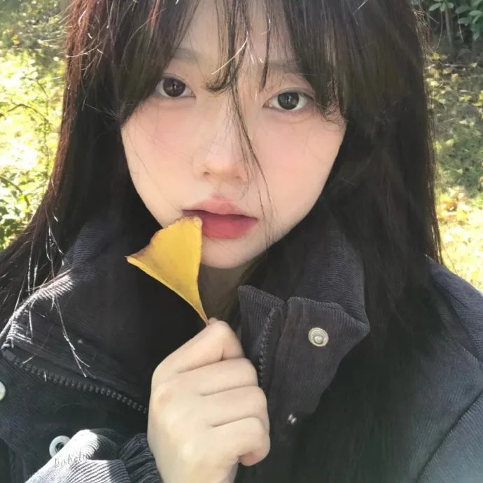 海龟故事
